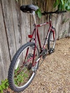 80s Raleigh Nitro photo