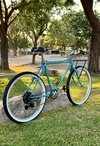 ‘84 Diamondback Ascent photo