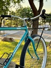 ‘84 Diamondback Ascent photo