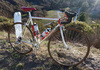 '85 Eddy Merckx Professional photo