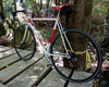 '85 Eddy Merckx Professional photo