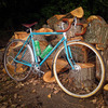 '87 Fuji Flair (Chip) (rip) photo