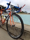 '89 Merckx 10th An. Molteni re-fin photo