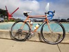 '89 Merckx 10th An. Molteni re-fin photo