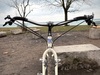 89 Nishiki Alien photo