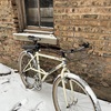 89 Nishiki Alien photo