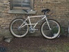 89 Nishiki Alien photo