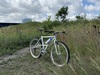 89 Nishiki Alien photo