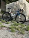 '91 Specialzied Allez photo