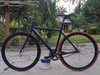 United Evo East photo