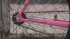 ACM - Ave Maldea Track - Pinkish photo