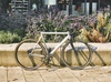 Aero Criterium Cruiser Silver Polished photo