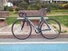 Affinity Kissena 2013, "Alka" photo
