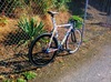 Affinity Kissena photo