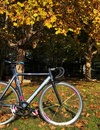 Affinity Kissena 2012 photo