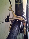 Affinity Kissena 2013 photo