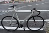 affinity kissena photo