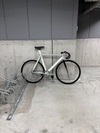 affinity kissena photo