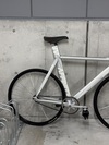 affinity kissena photo
