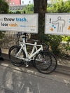 affinity kissena photo