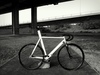 affinity kissena photo