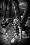 Affinity kissena Carbon look photo