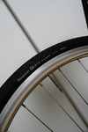 Affinity Lo-Pro 2014 photo