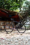 Affinity Lo-Pro 2023 photo