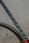 Affinity Lo-Pro 2023 photo