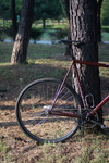 affinity lo pro brick red photo affinity lo pro brick red photo