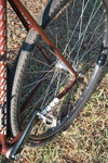 affinity lo pro brick red photo affinity lo pro brick red photo
