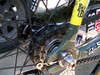 Affinity Lo Pro (pitbuL) photo
