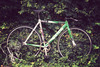 agreenerfilm's Cinelli Mash photo