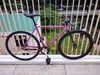 (2nd bike) Airwalk Pista photo