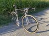 Alan Record Carbonio Campagnolo (1989) photo