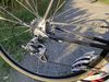 Alan Record Carbonio Campagnolo (1989) photo