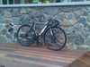 all black visp photo