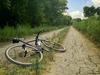 All City Nature Boy SSCX photo