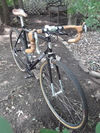 All-City Nature Boy Zona photo