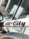 All-City Nature Boy Zona photo