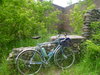 All City Space Horse photo