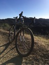 2015 All City Space Horse photo