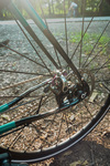 All City Super Professional Single Speed photo