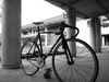 Satantrax photo