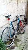 Ambrosio Stelvio Winterbike photo