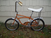 1970 AMF Roadmaster Renegade photo
