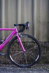 Anchor bridgestone ARAD (pink road bike) photo