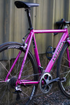 Anchor bridgestone ARAD (pink road bike) photo