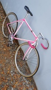 Anchor Bridgestone NJS Pink fade photo