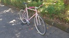 Anchor Bridgestone NJS Pink fade photo